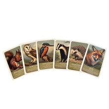 Load image into Gallery viewer, Wildlife "Pairs" Card Game
