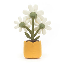 Load image into Gallery viewer, Amuseables Daisy
