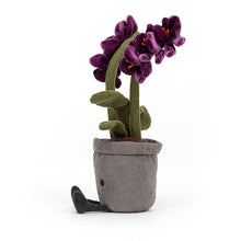 Load image into Gallery viewer, Amuseable Purple Orchid
