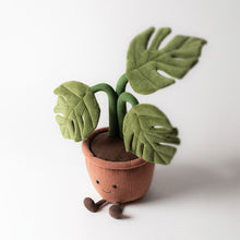 Load image into Gallery viewer, Amuseables Monstera Plant
