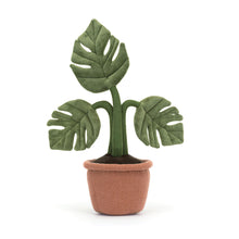 Load image into Gallery viewer, Amuseables Monstera Plant
