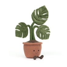 Load image into Gallery viewer, Amuseables Monstera Plant
