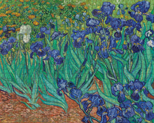 Load image into Gallery viewer, Vincent van Gogh: Irises  (1000 pc.)
