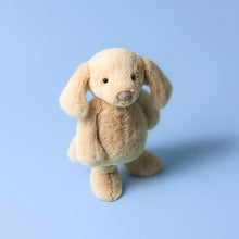 Load image into Gallery viewer, Bashful Luxe Puppy Orlando
