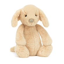 Load image into Gallery viewer, Bashful Luxe Puppy Orlando
