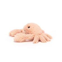 Load image into Gallery viewer, Fluffy Crab
