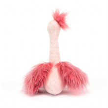 Load image into Gallery viewer, Fou Fou Ostrich

