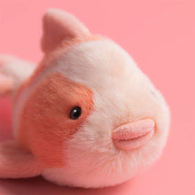 Load image into Gallery viewer, Fancy Carp
