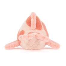Load image into Gallery viewer, Fancy Carp
