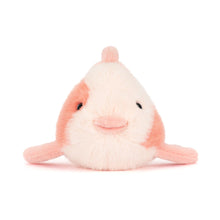 Load image into Gallery viewer, Fancy Carp
