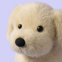 Load image into Gallery viewer, Golden Puppy
