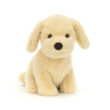 Load image into Gallery viewer, Golden Puppy
