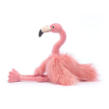 Load image into Gallery viewer, Rosario Flamingo
