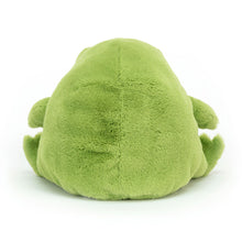 Load image into Gallery viewer, Ricky Rain Frog
