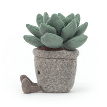 Load image into Gallery viewer, Silly Succulent Azulita
