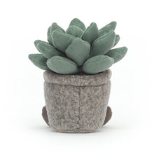 Load image into Gallery viewer, Silly Succulent Azulita
