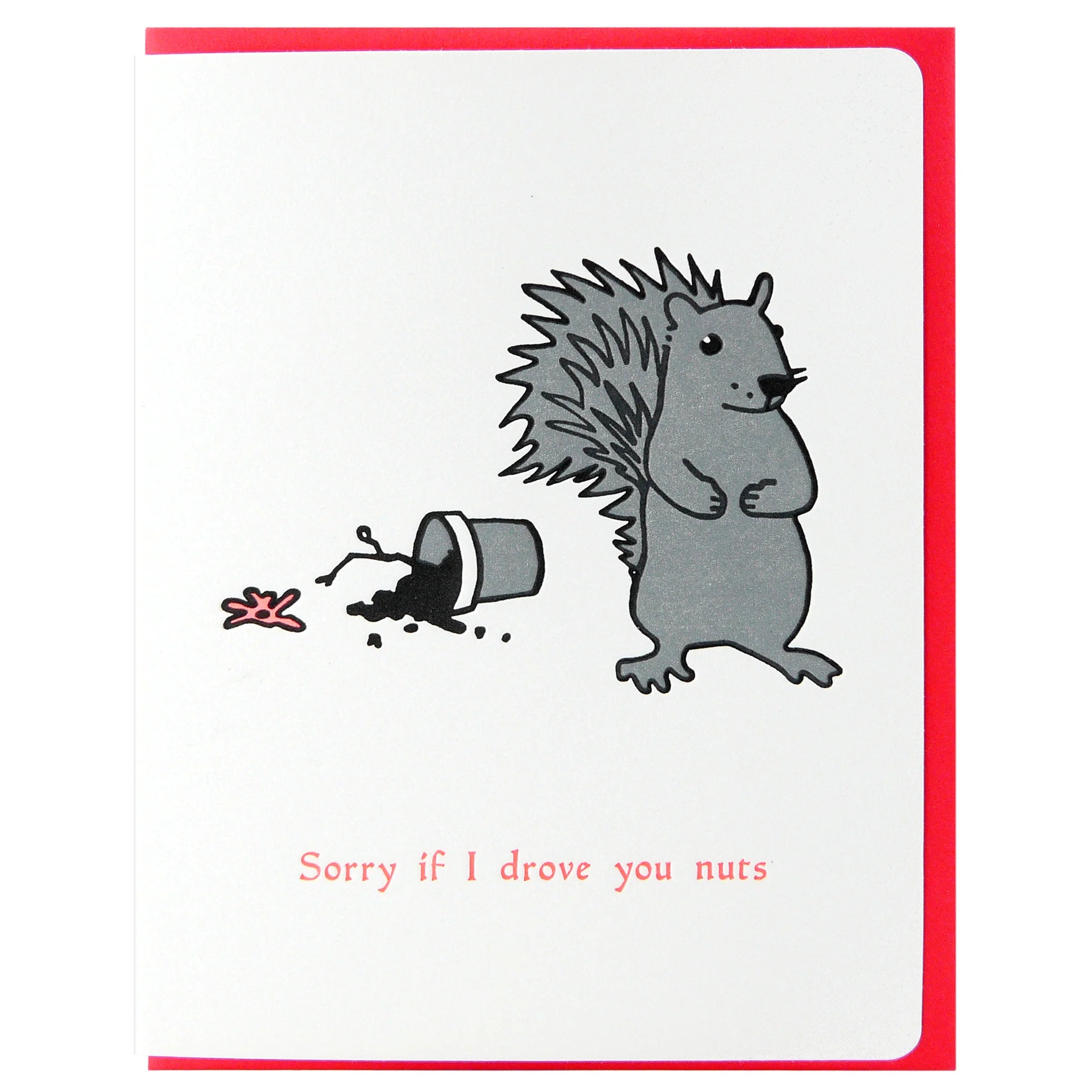 Sorry Squirrel – Jones & Company
