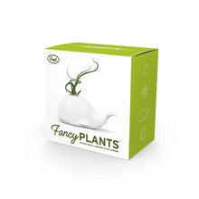 Load image into Gallery viewer, Fancy Plants - Whale
