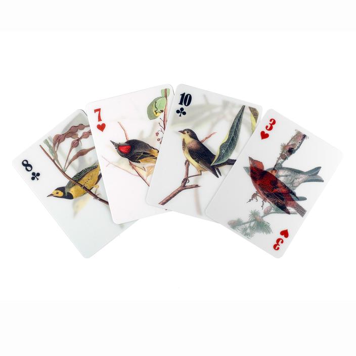 3-D Bird Cards