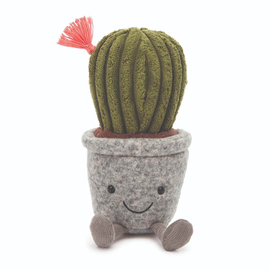 Silly Succulent Barrel Cactus