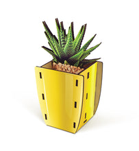 Load image into Gallery viewer, Pop Plant - Aloe
