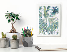 Load image into Gallery viewer, Pop Plant - Echeveria
