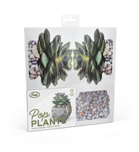 Load image into Gallery viewer, Pop Plant - Echeveria
